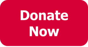 Red button with white text that reads Donate Now