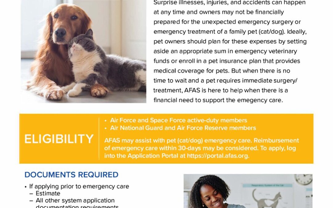 F_AFAS_PetSurgery